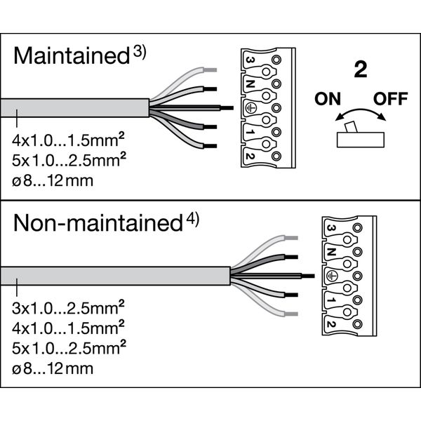 MD32 image 10