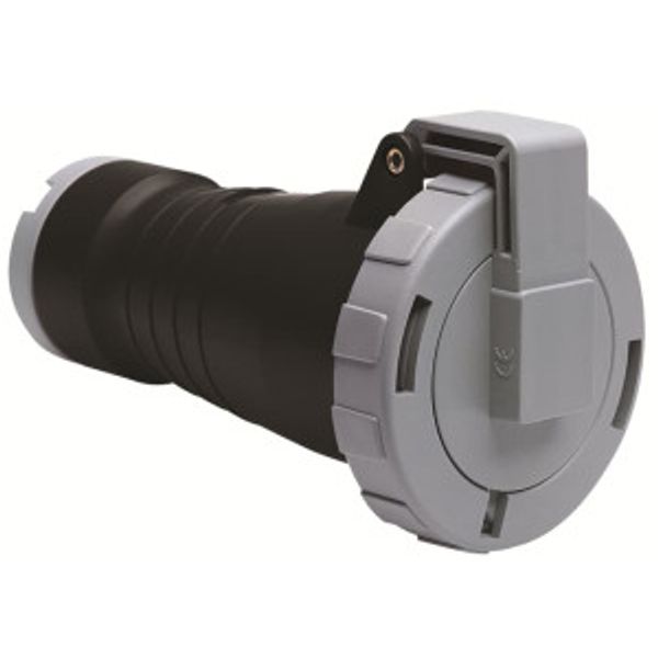 416C5W Industrial Connector image 2