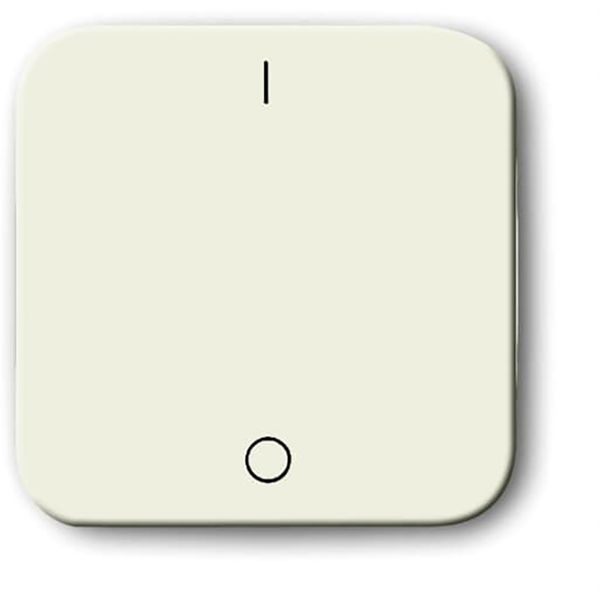 2502-212-500 CoverPlates (partly incl. Insert) carat® White image 1
