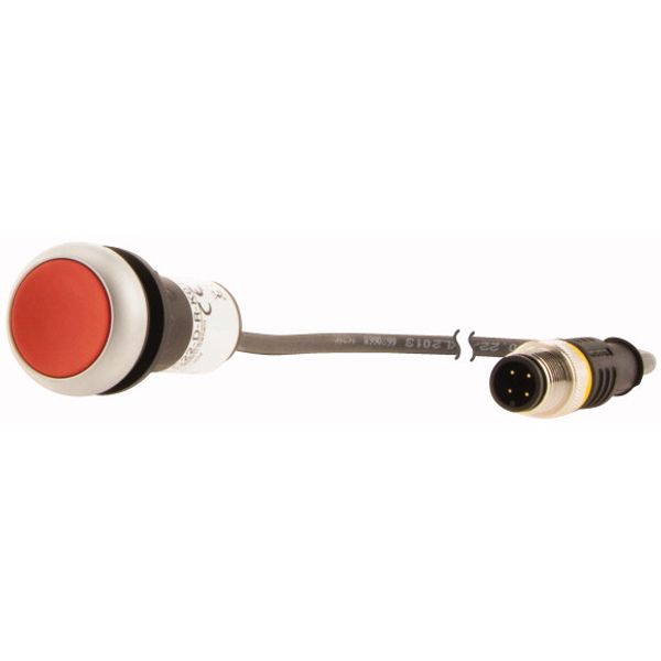 Pushbutton, Flat, momentary, 1 NC, Cable (black) with M12A plug, 4 pole, 0.5 m, red, Blank, Bezel: titanium image 3