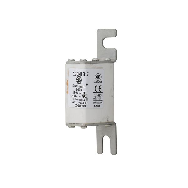 Fuse-link, high speed, 100 A, AC 690 V, DIN 000, 21 x 40 x 100 mm, aR, DIN, IEC image 14