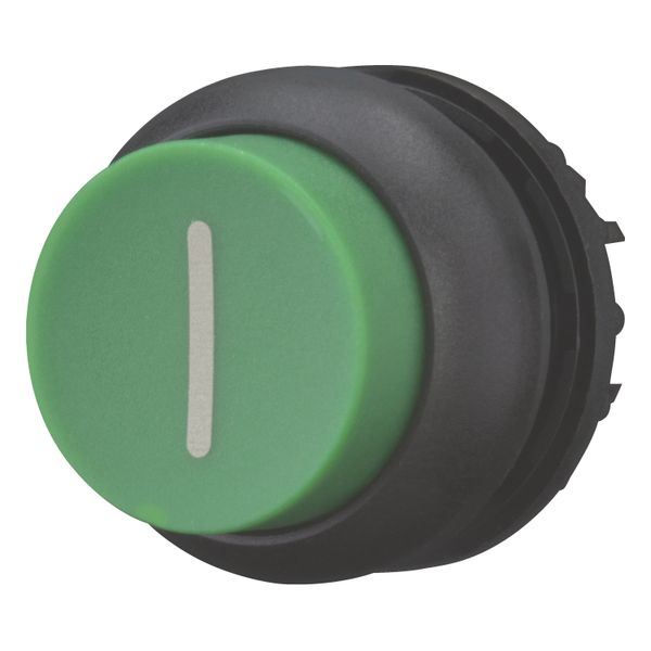 Pushbutton, RMQ-Titan, Extended, maintained, green, inscribed, Bezel: black image 2