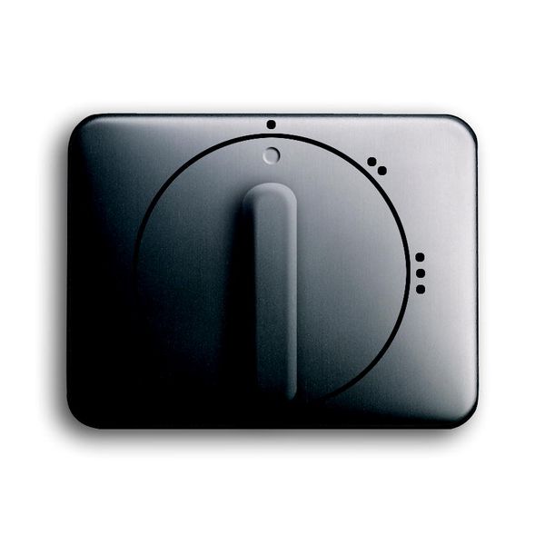 2542 DR/02-20 CoverPlates (partly incl. Insert) carat® Platinum image 1