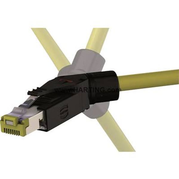 RJI 10G RJ45 plug Cat6, 8p IDC angled image 1