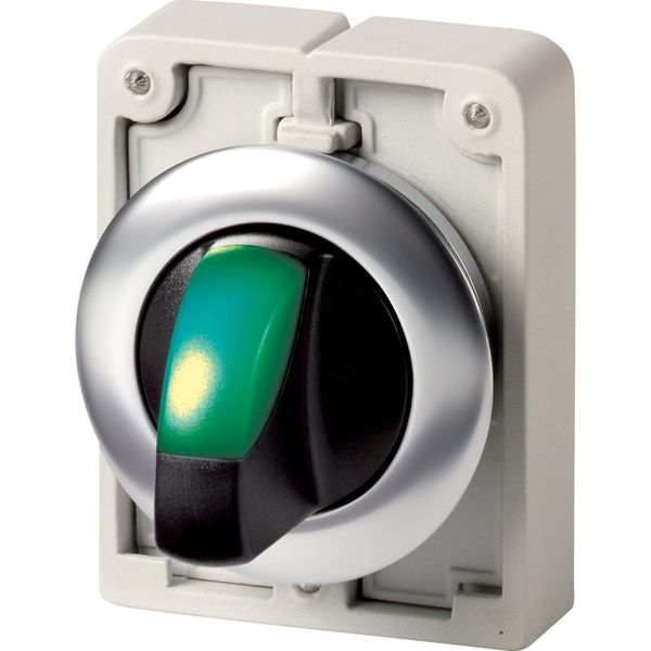 Illuminated selector switch actuator, RMQ-Titan, with thumb-grip, momentary, 2 positions, green, Front ring stainless steel image 4