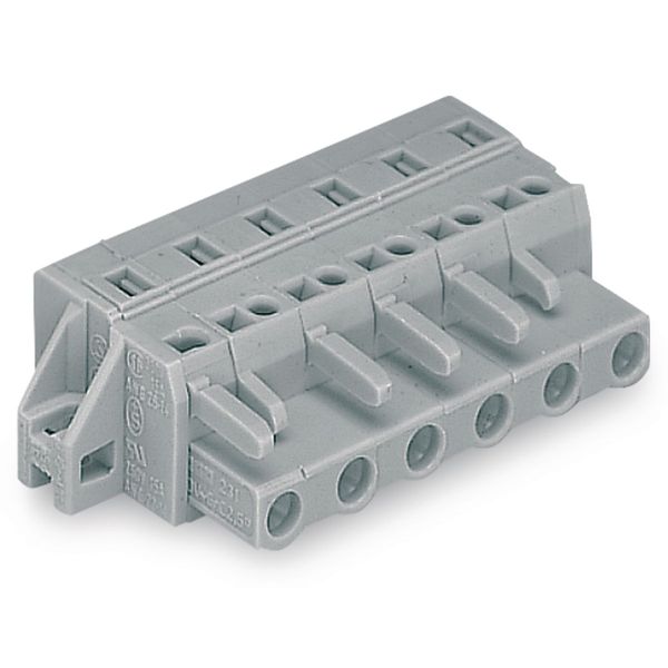 1-conductor female connector CAGE CLAMP® 2.5 mm² gray image 4