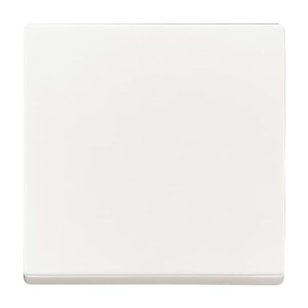 1788-84 CoverPlates (partly incl. Insert) future®, Busch-axcent®, solo®; carat® Studio white image 6