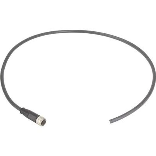 M8 Cable Assembly 3-poles st/- f/- 3,0m image 1