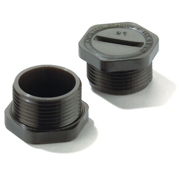 Ex sealing plugs (plastic), M 25, 10 mm, Polyamide 6, Silicone image 1