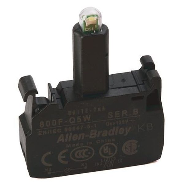 Allen-Bradley 800F-Q5W Integrated LED (Spring-Clamp), Latch Mount, 120V AC, White LED image 1