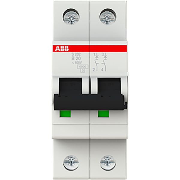 S202-B20 Miniature Circuit Breaker - 2P - B - 20 A image 2