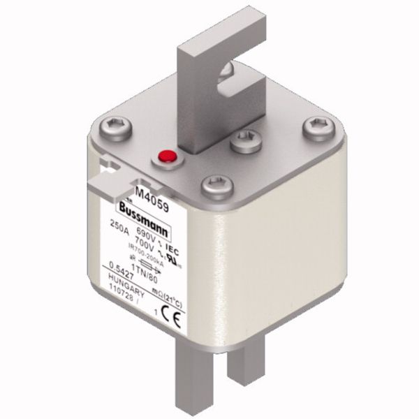 Fuse-link, high speed, 250 A, AC 690 V, DIN 1, 53 x 66 x 108 mm, aR, DIN, IEC, single indicator image 3