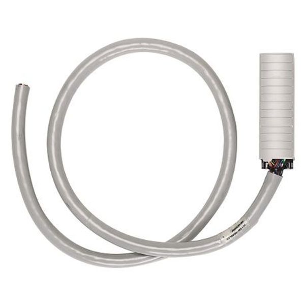 Allen-Bradley 1492-CABLE010TBCH Connection Products, Digital Cable, 1.0 m (3.28 ft), 1492-CABLE(1)TBCH MOD-RDY 40C image 1