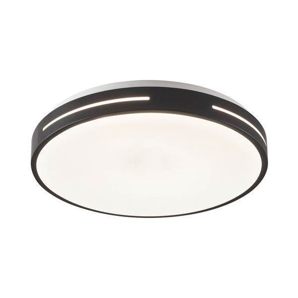 Ceiling Lamp Black Alexia image 1