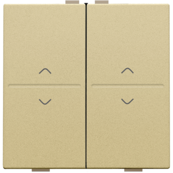 Double key with 'up' and 'down' arrows for wireless switch or push but image 1