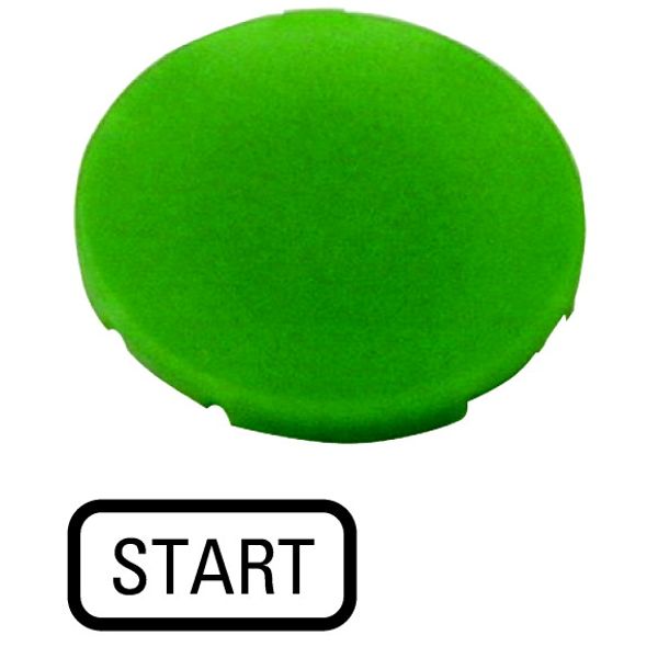 Button plate, flat green, START image 1