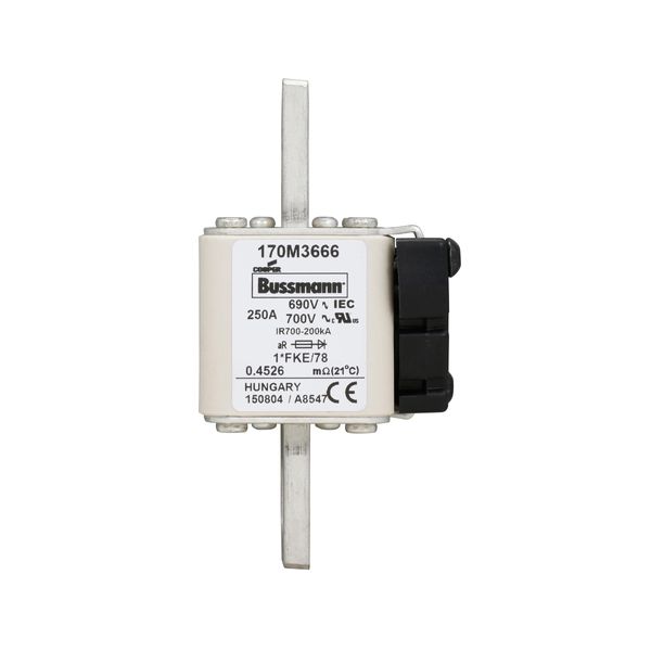 Fuse-link, high speed, 250 A, AC 690 V, compact size 1, 45 x 59 x 110 mm, aR, IEC, UL image 12