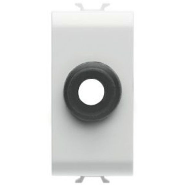 CABLE OUTLET - 1 MODULE - SATIN WHITE - CHORUSMART image 1