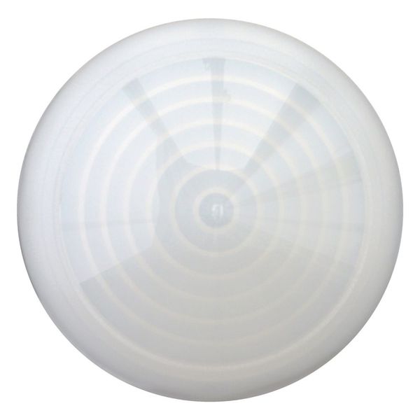 Indicator light, RMQ-Titan, Extended, conical, white image 9