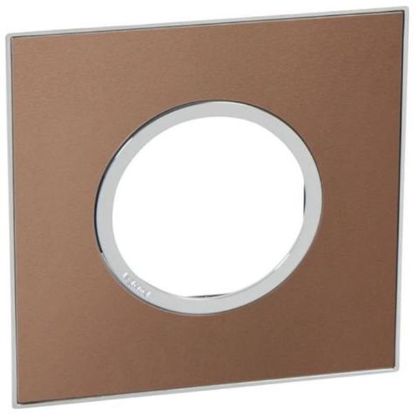 French and German standard plate round version 2 modules - brushed metal pink champagne image 1