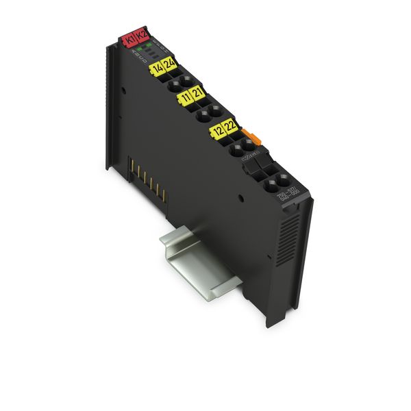 2-channel relay output AC 250 V 1 A dark gray image 1