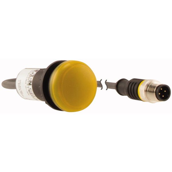 Indicator light, Flat, Cable (black) with M12A plug, 4 pole, 0.2 m, Lens yellow, LED white, 24 V AC/DC image 4