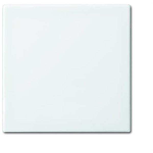 1790-590-914 CoverPlates (partly incl. Insert) Busch-balance® SI Alpine white image 1