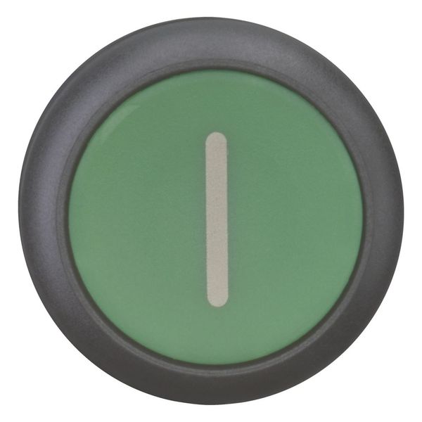 Pushbutton, RMQ-Titan, Flat, maintained, green, inscribed, Bezel: black image 3