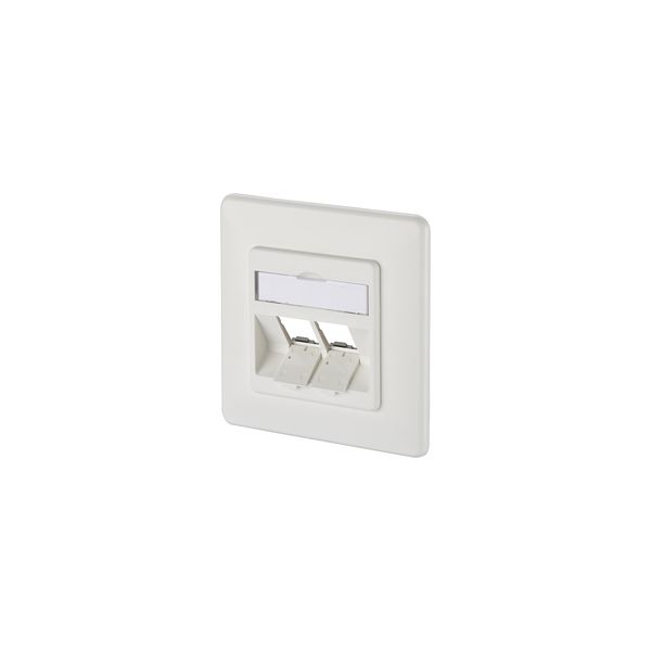 Modul wall outlet flush mounted 2 port unequipped pure white image 2