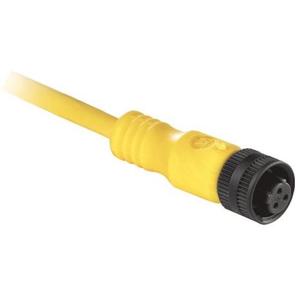 Allen-Bradley, 889R-M3AEA-5, AC Micro (Dual Key), Male, Straight, 3-Pin, PVC Cable, Yellow, Unshielded, Automotive Color Coded, No Connector, 5 meter (16.4 feet) image 1