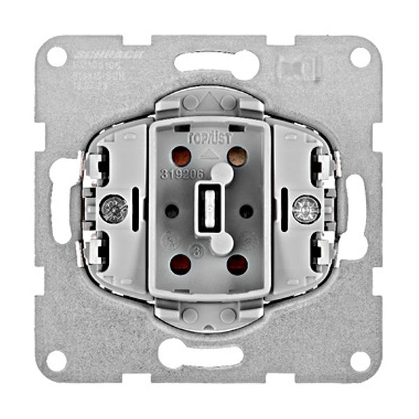 One-way switch insert, 2 pole, screw clamps image 1