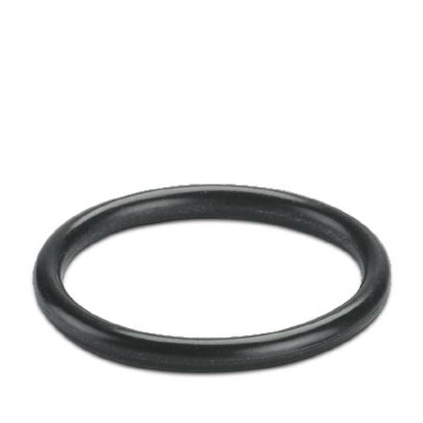 Sealing ring image 1