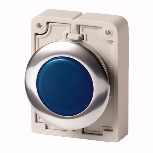 Indicator light, RMQ-Titan, Flat, Blue, Metal bezel image 1