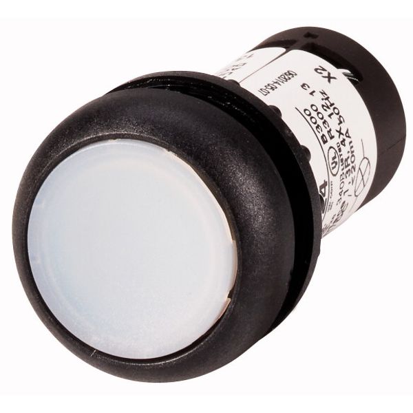 Illuminated pushbutton actuator, Flat, maintained, 1 N/O, Screw connection, LED white, White, Blank, 230 V AC, Bezel: black image 1