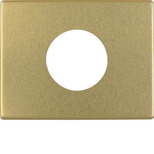 Centre plate for push-button and pilot lamp E10, Arsys, gold, metal image 1
