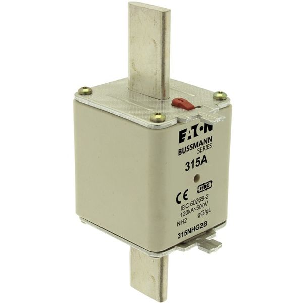 Fuse-link, LV, 315 A, AC 500 V, NH2, gL/gG, IEC, dual indicator, live gripping lugs image 5