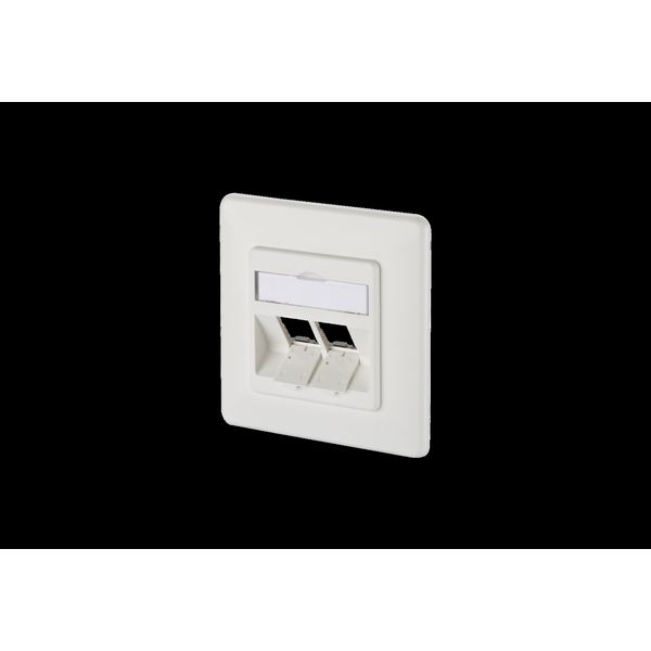 Modul wall outlet flush mounted 2 port unequipped pure white image 1