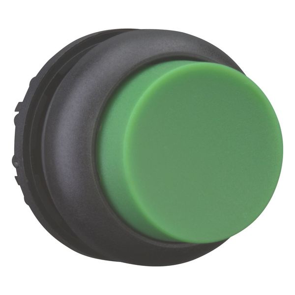 Pushbutton, RMQ-Titan, Extended, momentary, green, Blank, Bezel: black image 11