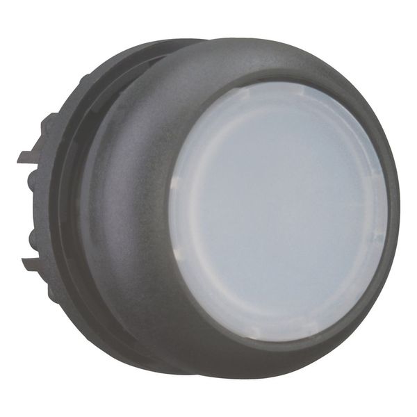 Illuminated pushbutton actuator, RMQ-Titan, Flush, momentary, White, Blank, Bezel: black image 11