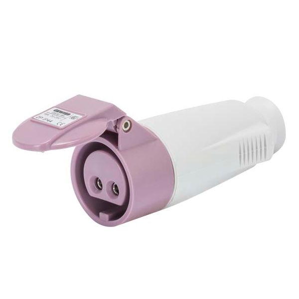 STRAIGHT CONNECTOR - IP44 - 2P 32A 20-25V 50-60HZ - VIOLET - n.r. - SCREW WIRING image 2