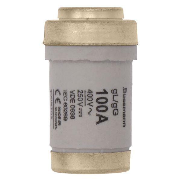 Fuse-link, LV, 100 A, AC 400 V, D03, gL/gG, IEC, time-delay image 6