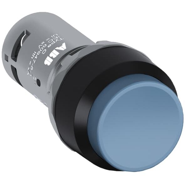 CP3-10W-11 Pushbutton image 7