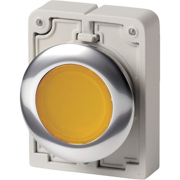 Illuminated pushbutton actuator, RMQ-Titan, Flat, momentary, yellow, Blank, Metal bezel image 6