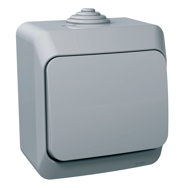 Cedar Plus - 1pole switch - 16AX, grey image 4