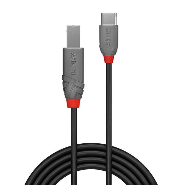 2m USB 2.0 Type C to B Cable, Anthra Line USB Type C Male to B Male image 2