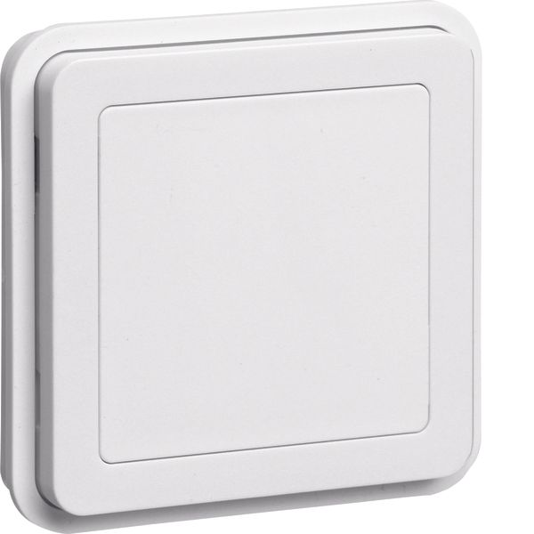 Blind plug insert surface-mtd/flush-mtd, W.1, p. white, matt, plastic image 1
