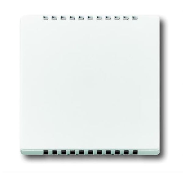 6541-84 CoverPlates (partly incl. Insert) future®, Busch-axcent®, solo®; carat® Studio white image 1