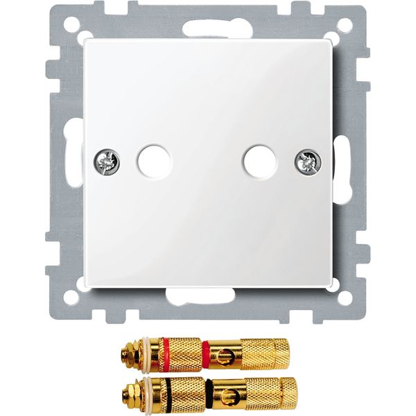 Central plate with high-end loudspeaker connector, polar white, glossy, System M image 2