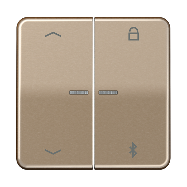 KNX room temperature controller CD2178GR image 4