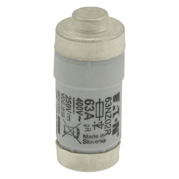 Fuse-link, LV, 63 A, AC 400 V, D02, aR, IEC, ultra rapid image 19